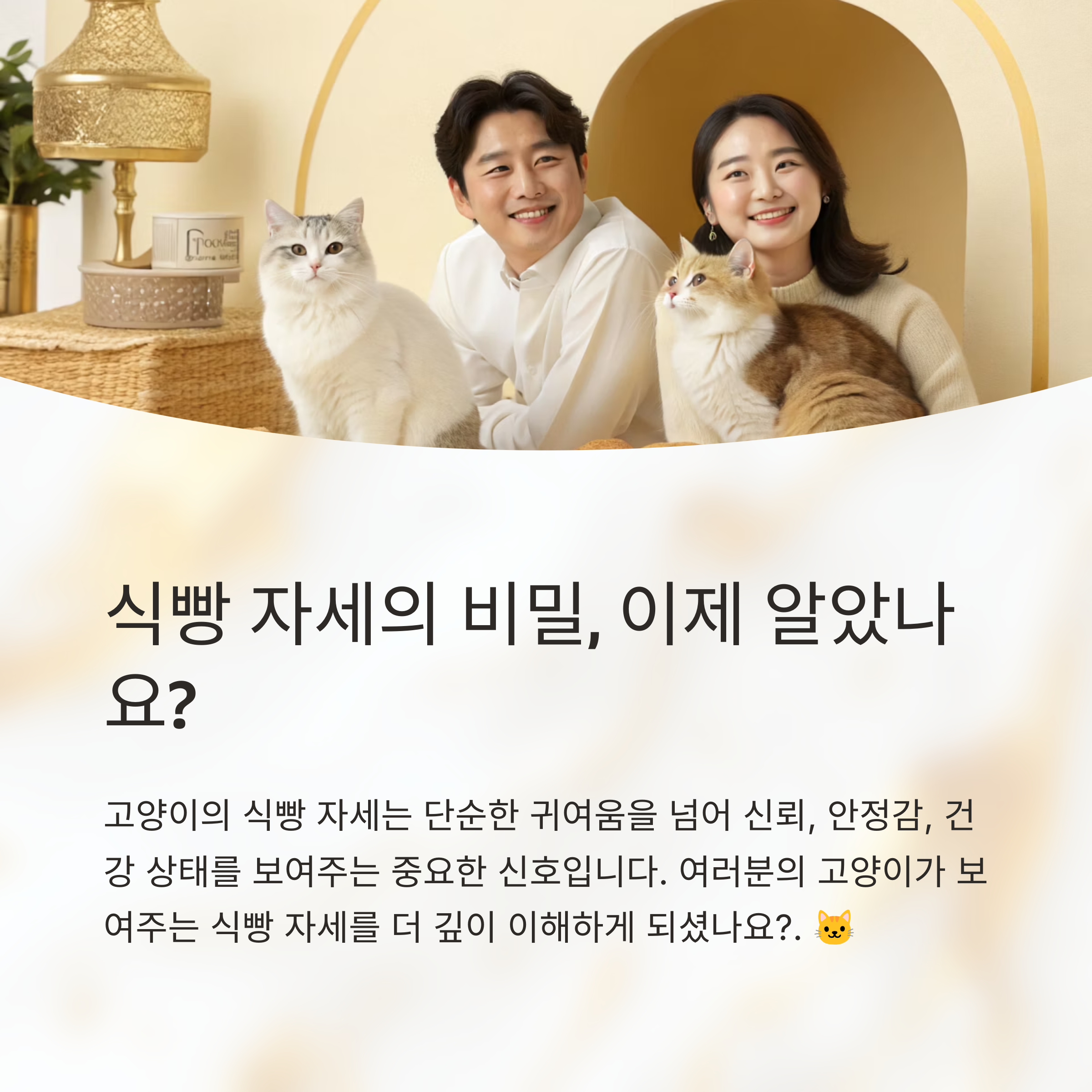 식빵 자세의 비밀, 이제 알았나요?