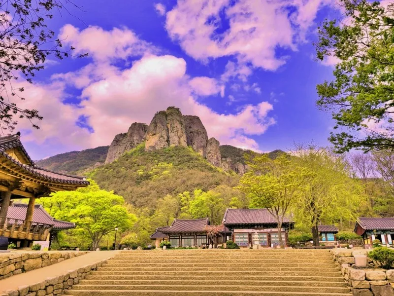 청송 주왕산 수목원 관람 가이드