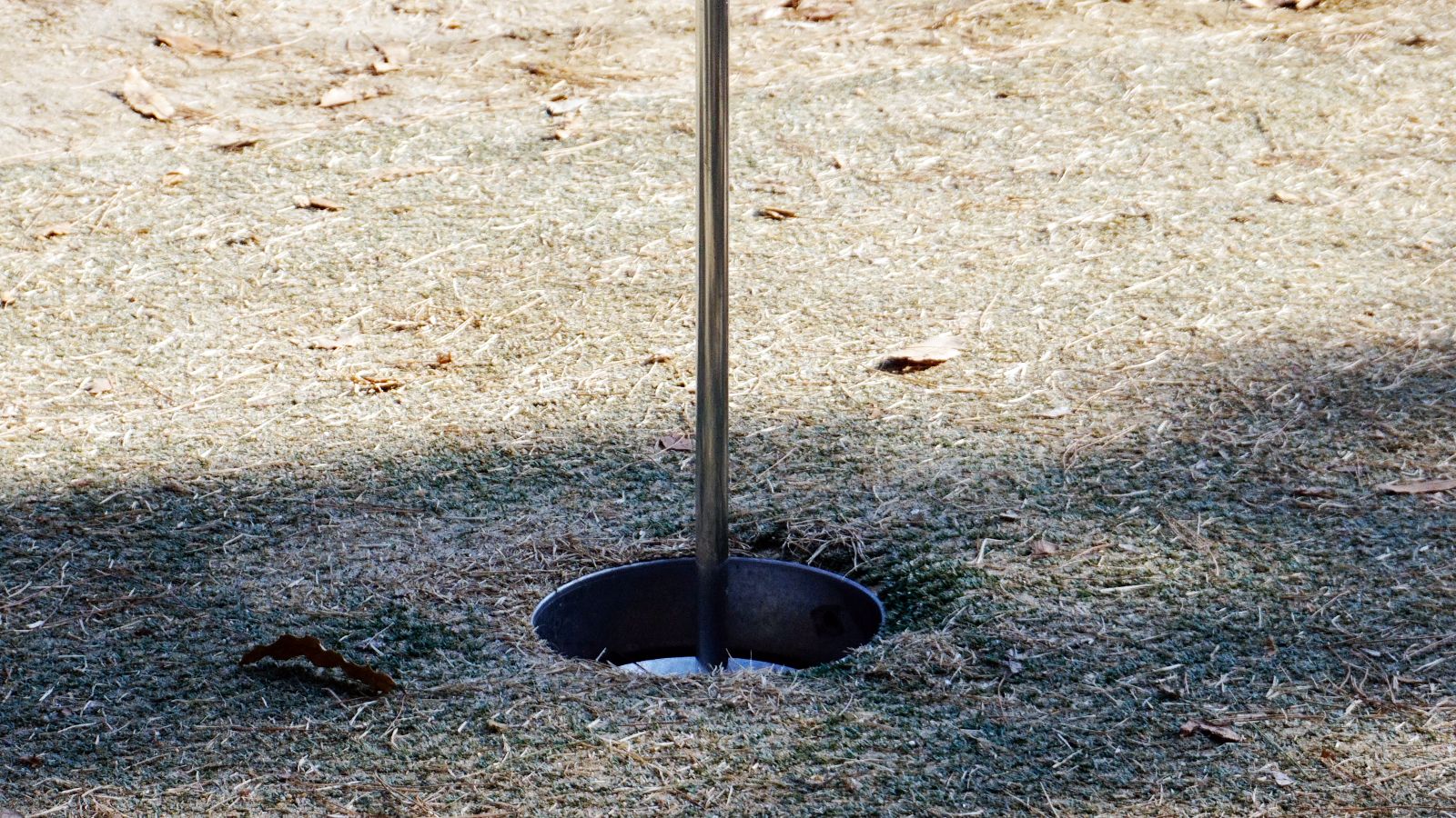 파크골프 입문자를 위한 용어 총정리