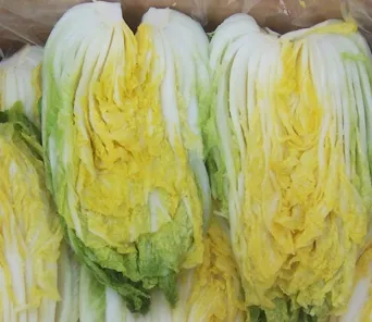 절임배추 주의사항