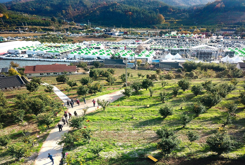 2024 고흥 유자 축제