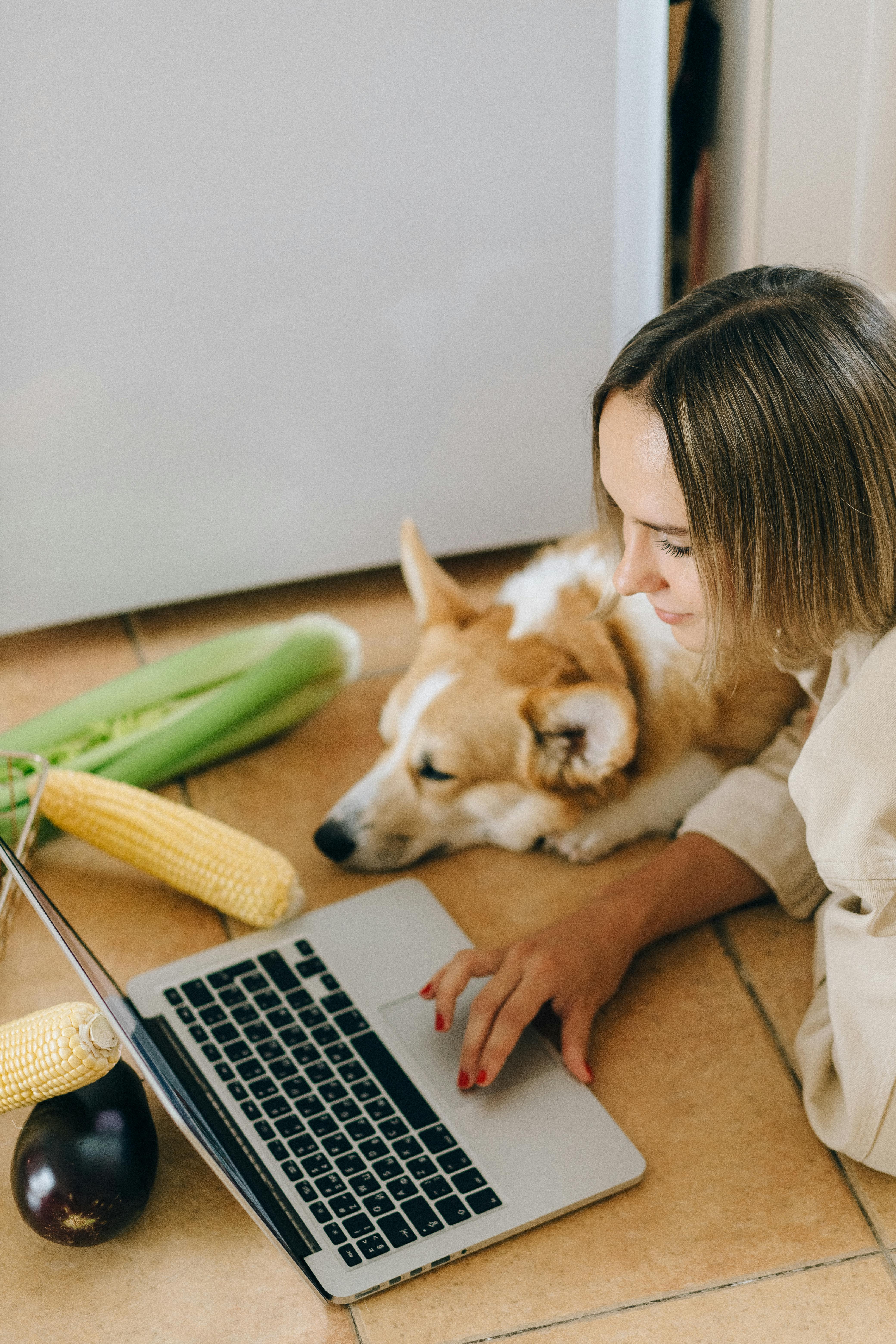  구독경제(OTT&middot;식품&middot;정기배송) 2026 트렌드｜지금 정리하지 않으면 손해 
