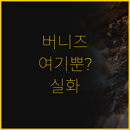 반려견과 함께 간다면 무조건 여기 빈..