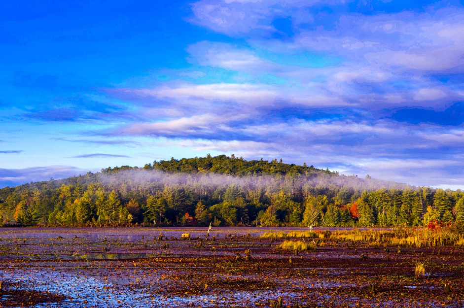 인생 후반기 영화로 힐링 관련 사진