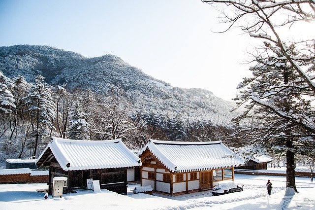 효종 시대 왕실 의례의 변화와 의미