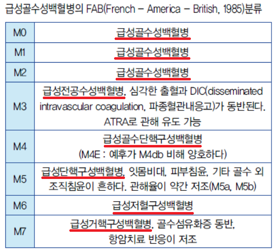 급성골수성백혈병 원인, 증상, 진단, 치료방법