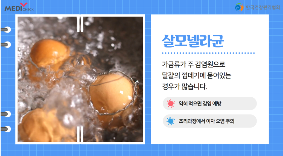 식중독 살모넬라균