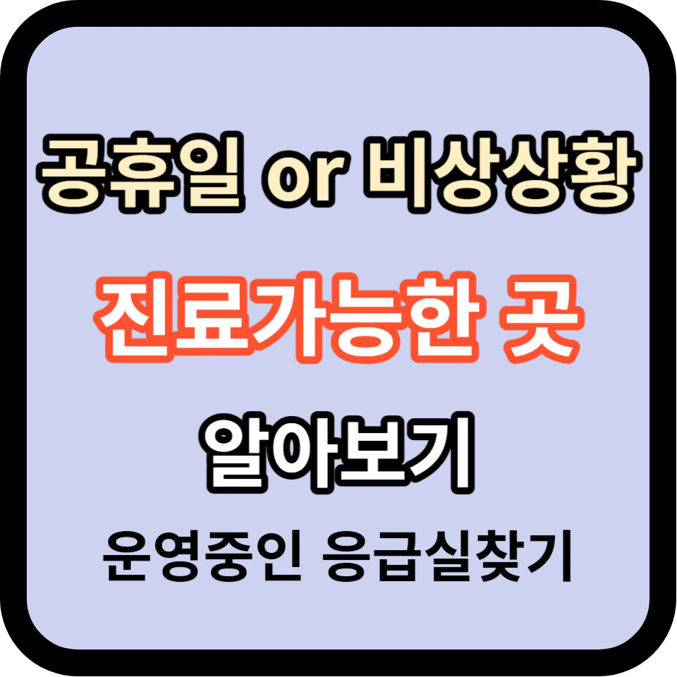 공휴일 or 비상진료 병의원 및 약국 알아보기 (응급실 찾기)