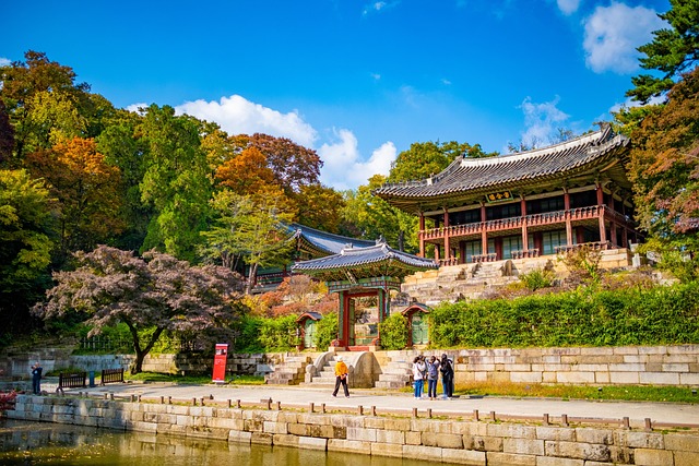 창덕궁 야간개장 정보, 조명공연, 포토스폿 추천