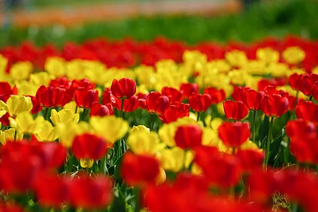 파주 가볼만한곳 베스트10 여행 코스 맛집_6