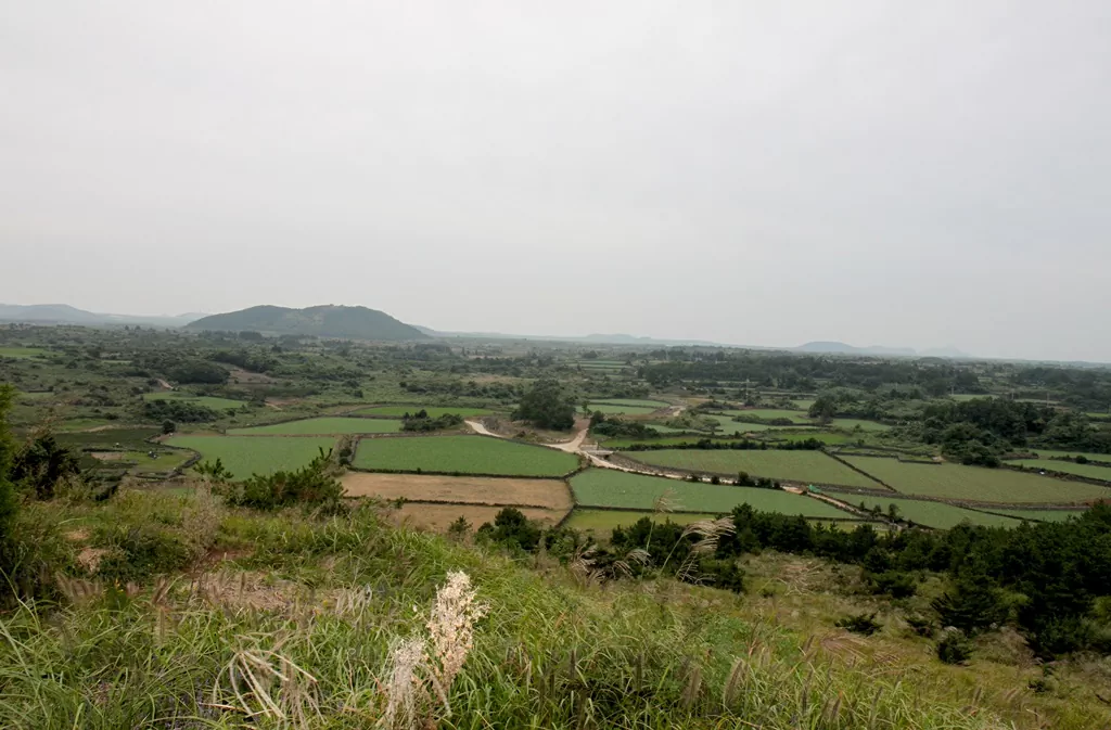 제주 올레길 1코스 알오름에서 바라본 성산 밭길 촬영사진.