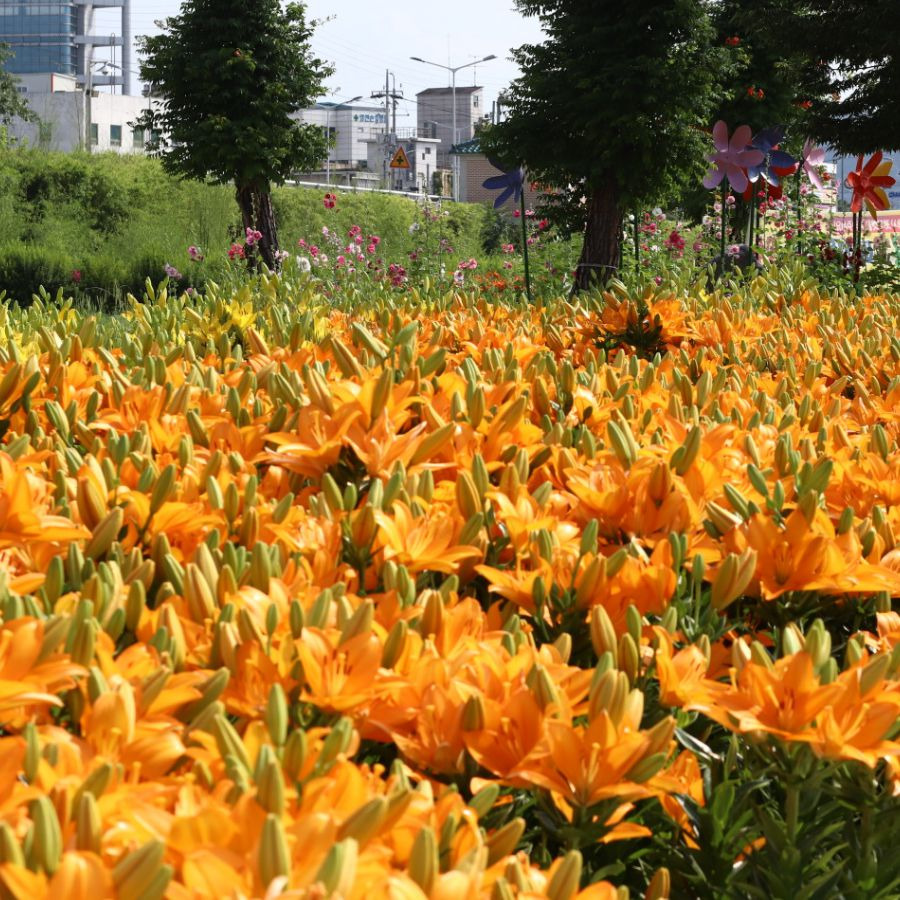 영천생태지구공원