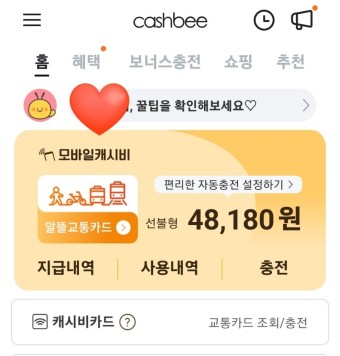 알뜰교통카드