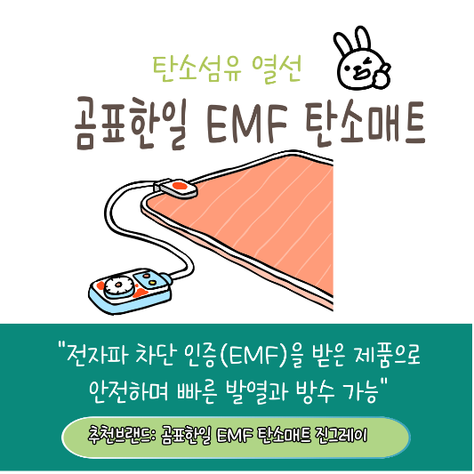 겨울 탄소매트 추천