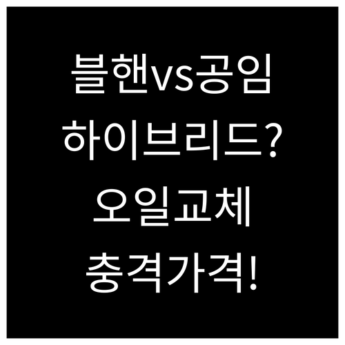 블루핸즈와 공임나라 하이브리드 오일 ..