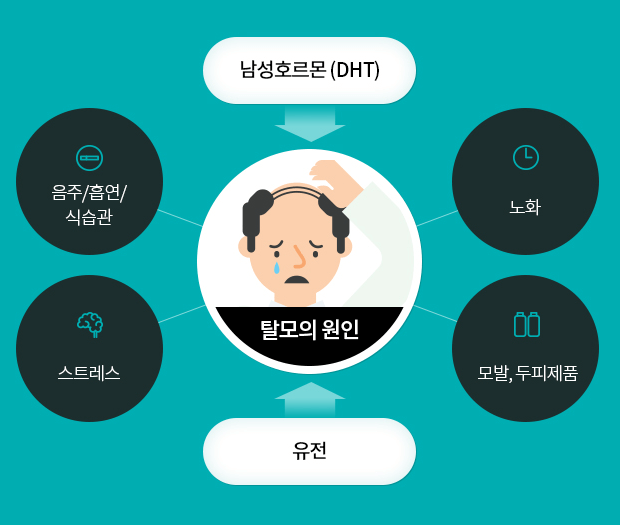 탈모의 원인과 해결방안
