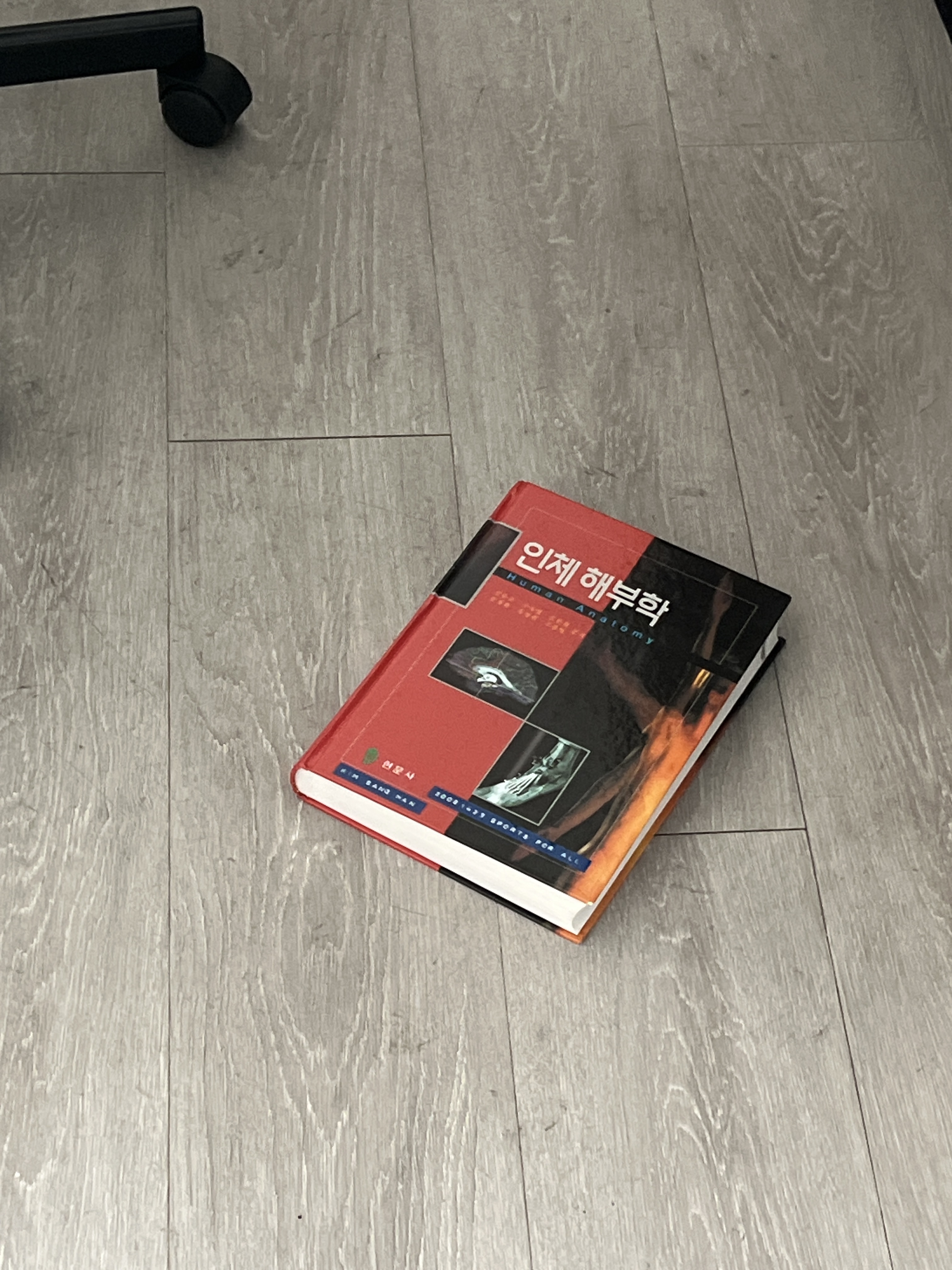 바퀴벌레 퇴치 법