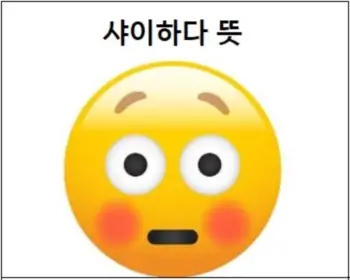 샤이하다 뜻