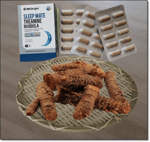 테아닌과 홍경천