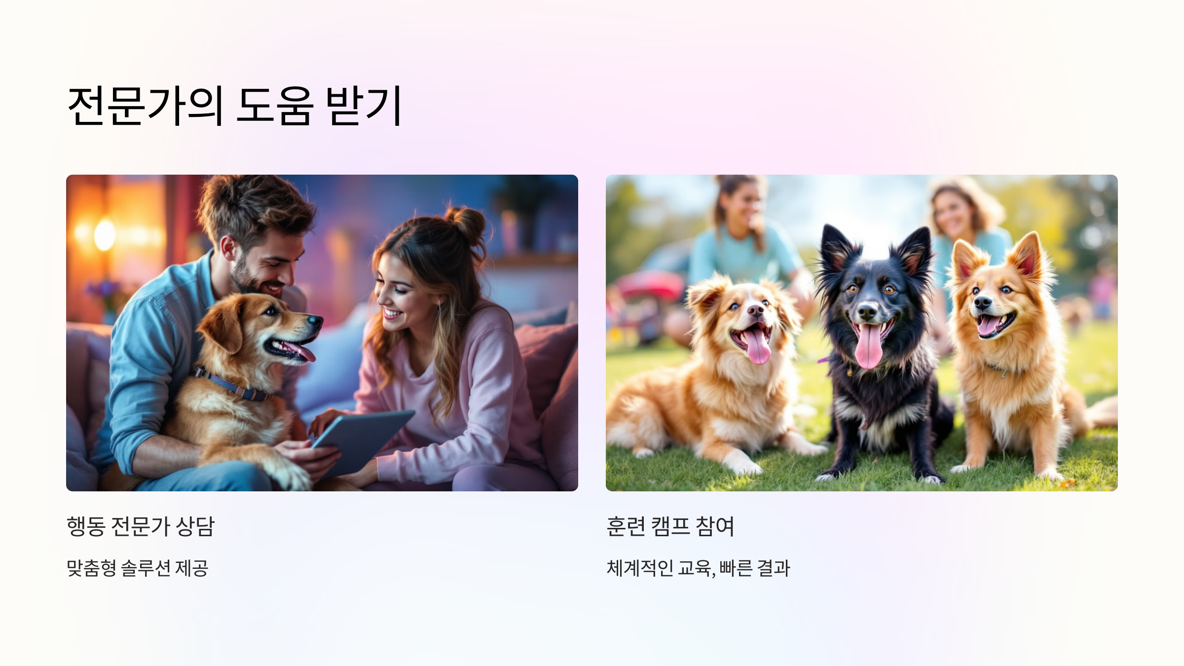 전문가의 도움을 받는 방법