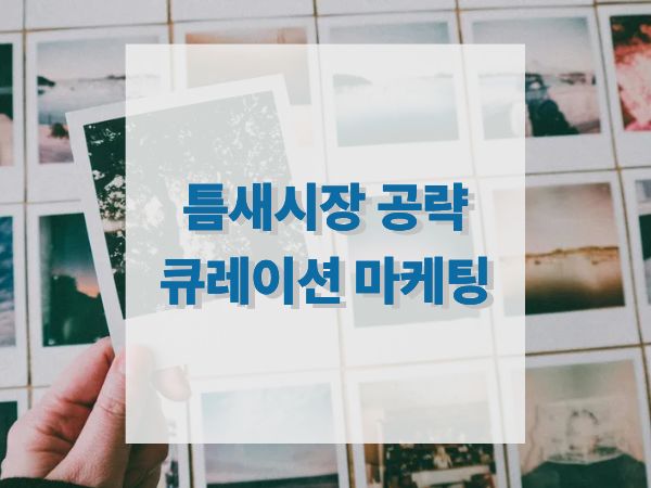 틈새 시장 공략법: 성공을 부르는 큐레이션 마케팅 전략 가이드