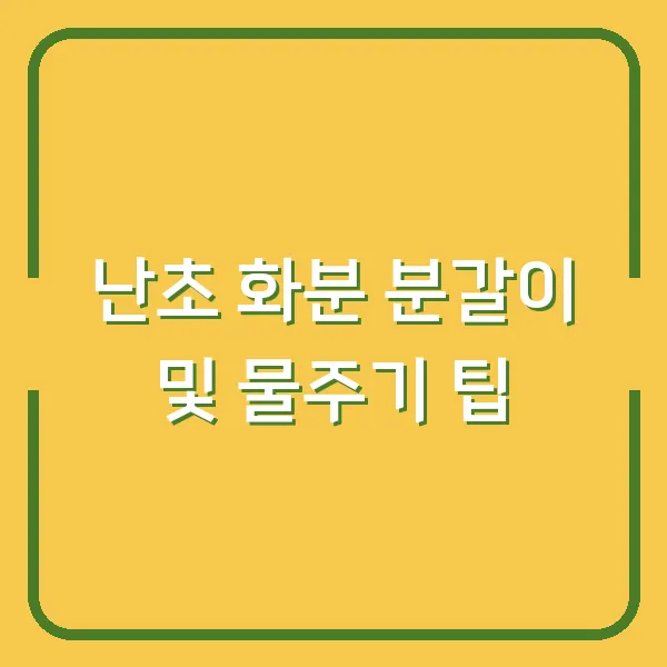난초 화분 분갈이 및 물주기 팁