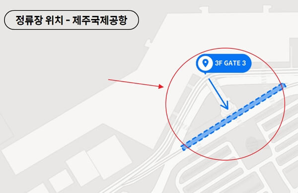 제주 반려동물 동반여행 구팔일 댕댕이 레이싱