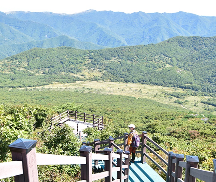 밀양 가볼만한곳