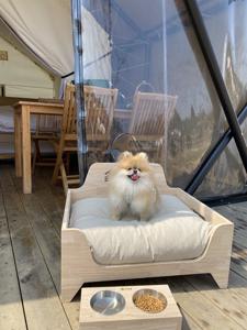 애견 동반 글램핑