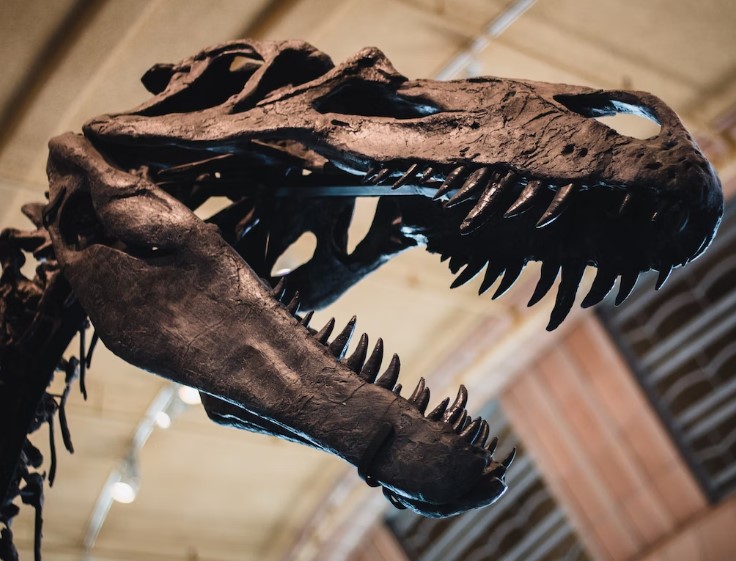 어린이날 선물 추천