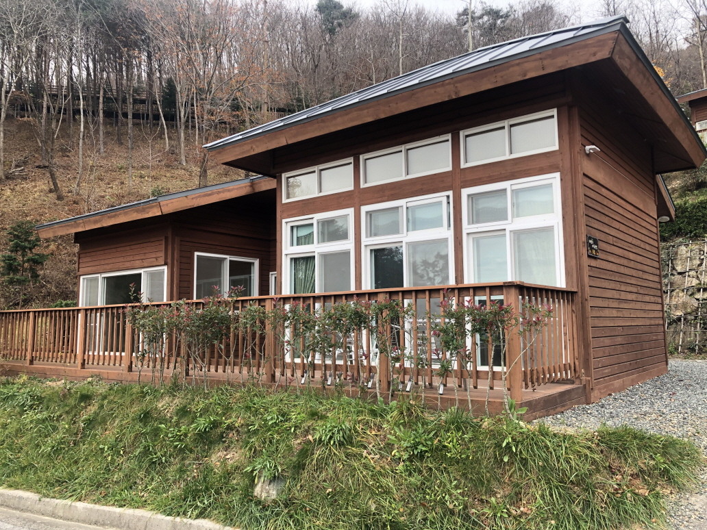 참나무, 편백나무 등 울창한 숲속 나무들 사이에 독채 형태로 아기자기하게 자리 잡은 '숲속의 집(단독동)' 건물이 프라이빗하고 평화로운 분위기를 자아내는 모습