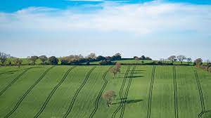 농지은행 농지 임대수탁