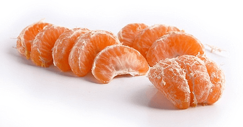 제주도 단기알바