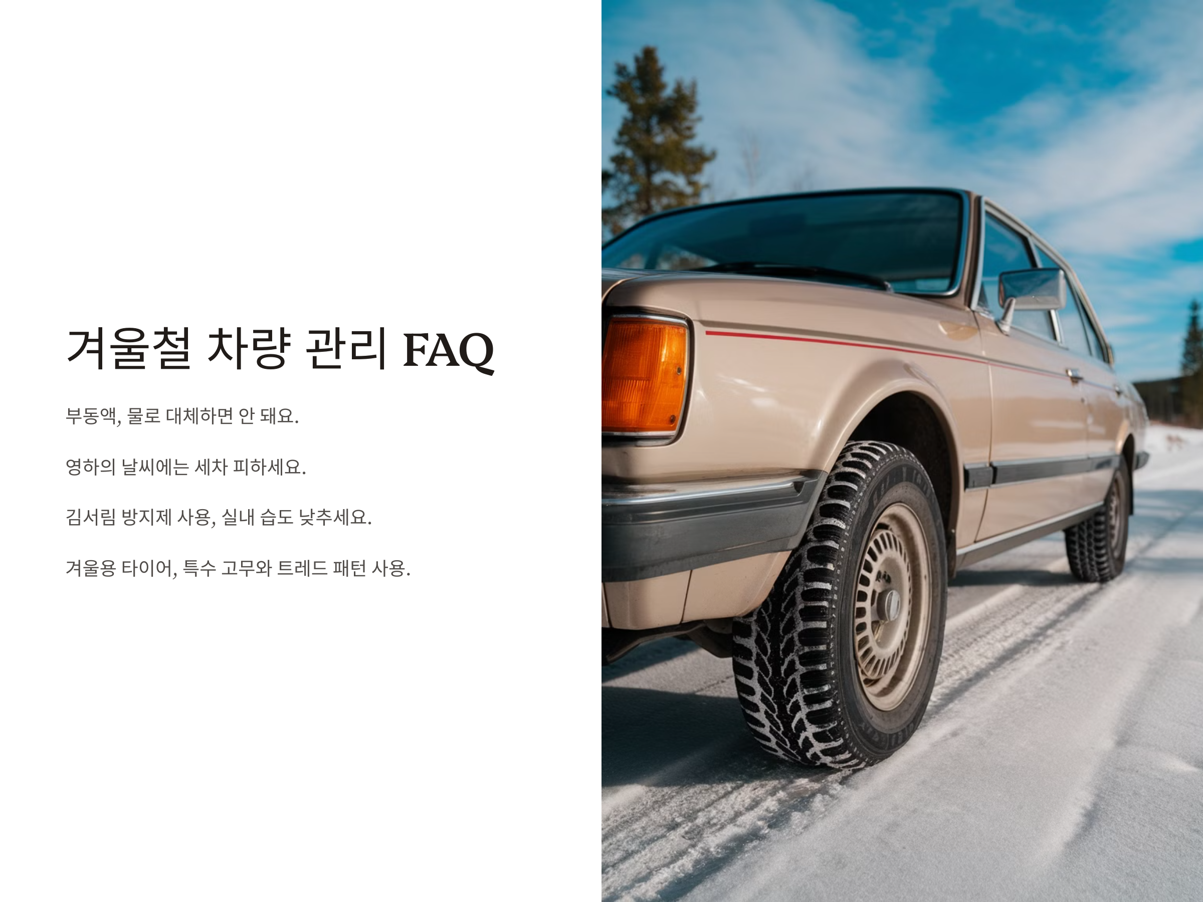 겨울철 차량 관리 핵심, 배터리부터 타이어까지!