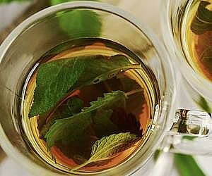 신경안정에 도움