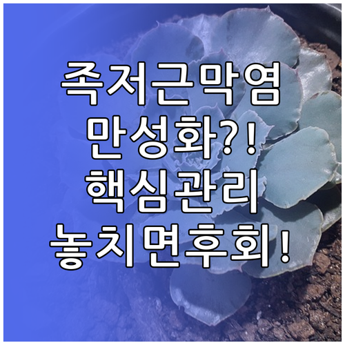 만성 족저근막염 진행 과정과 관리 방..