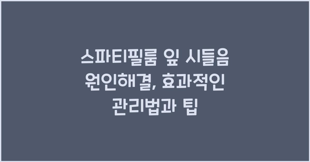 스파티필룸 잎 시들음 원인해결