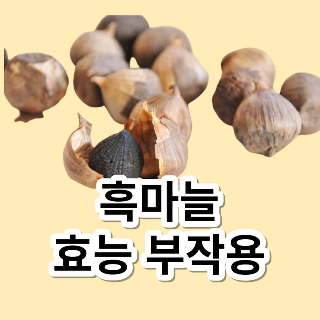 흑마늘 효능 부작용