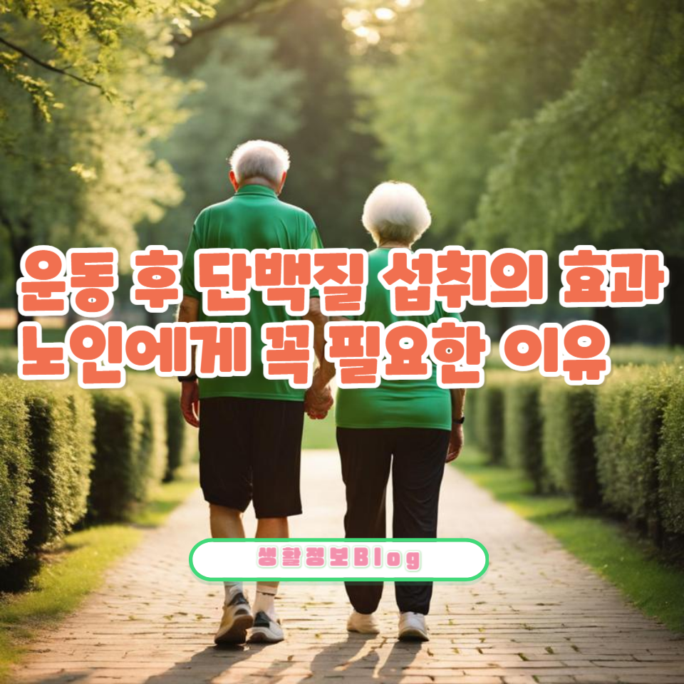 노인의 건강을 지키기 위해 단백질 섭취가 얼마나 중요한지 아시나요?