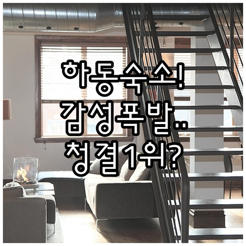 하동 감성 숙소 및 가족 리조트 추천..