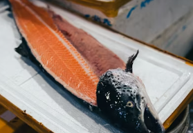 비타민A가 많은 음식