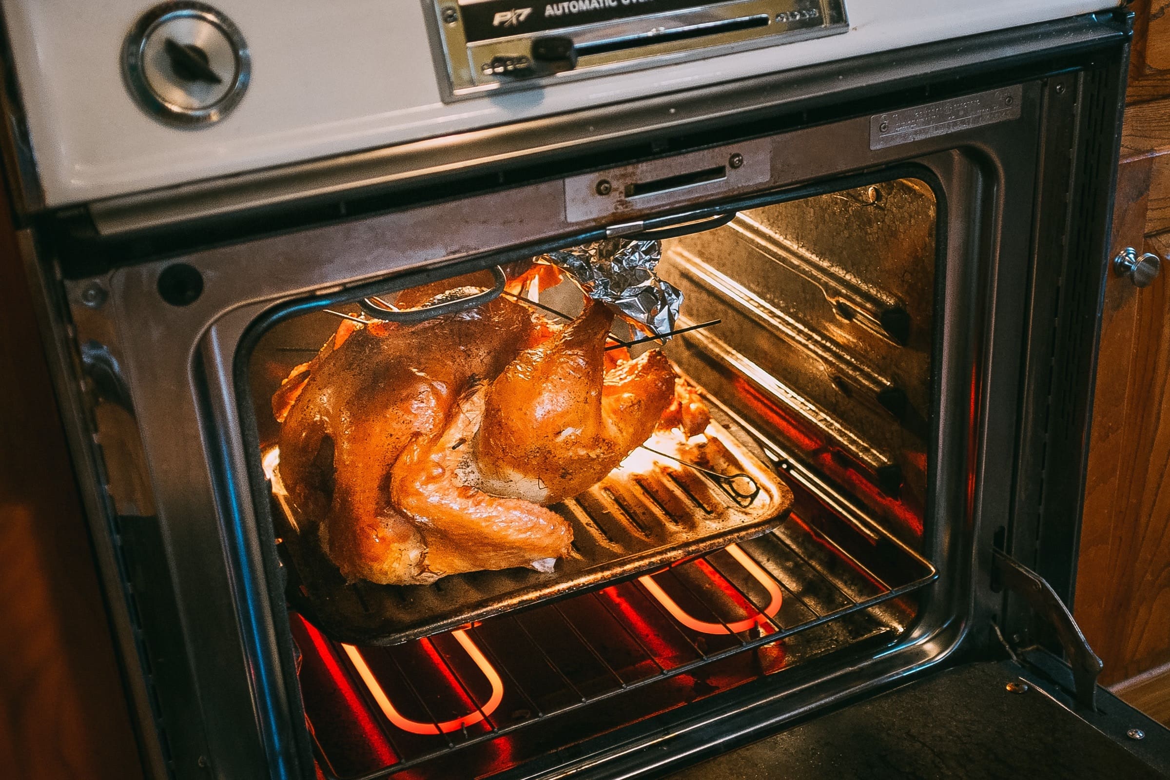 Oven and Turkey