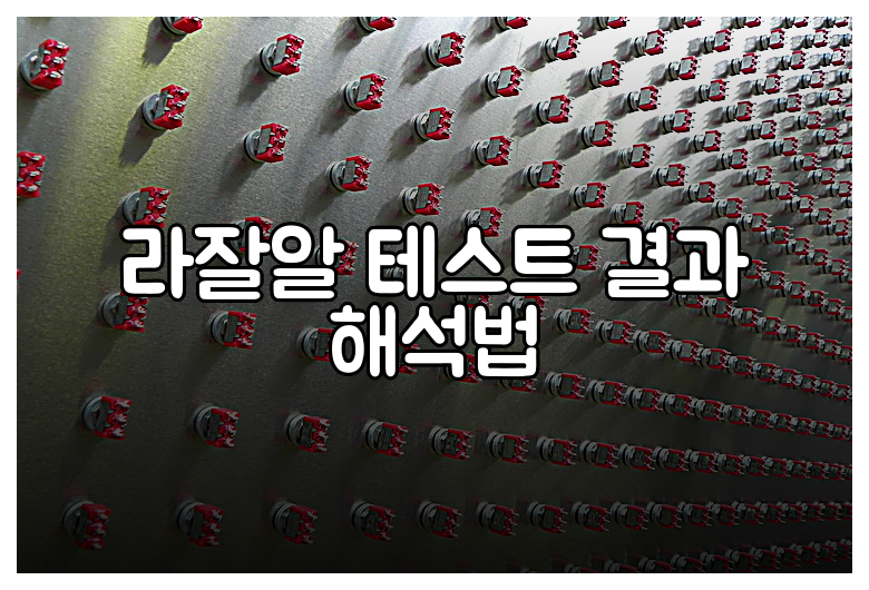 라잘알 테스트 결과 해석법