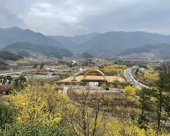 구례 산수유축제_2