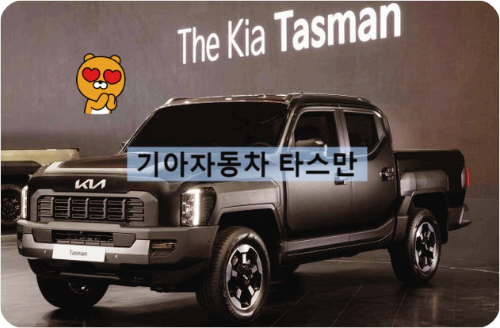 타스만이 필요한 사람들