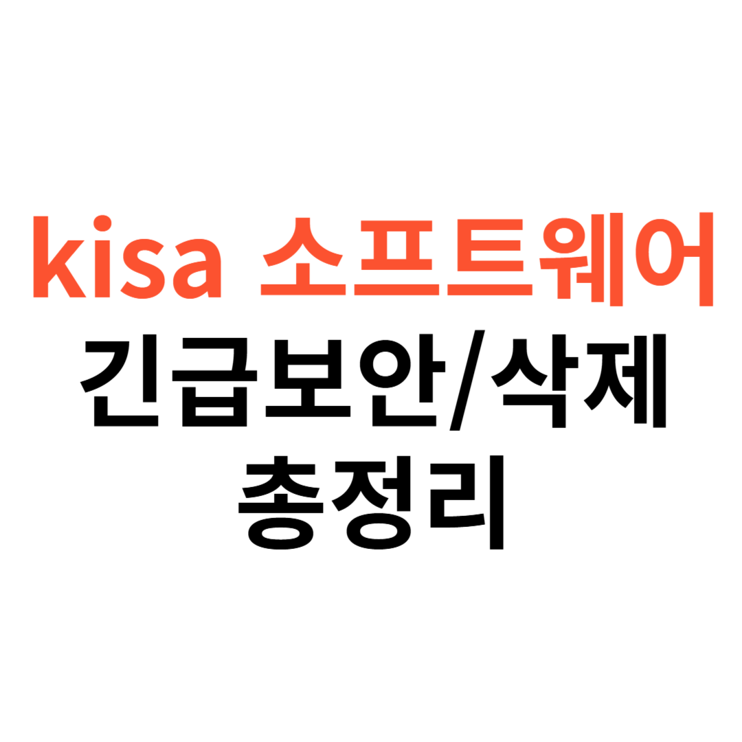 kisa 소프트웨어
