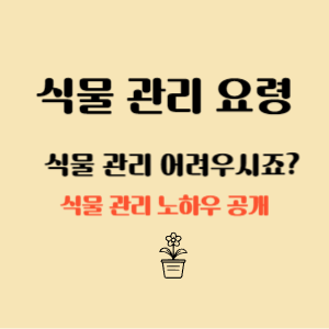 식물관리 요령