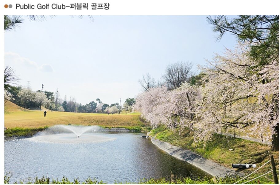 라비돌cc