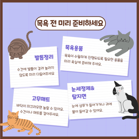 고양이목욕준비