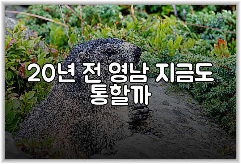 20년 전 영남 지금도 통할까